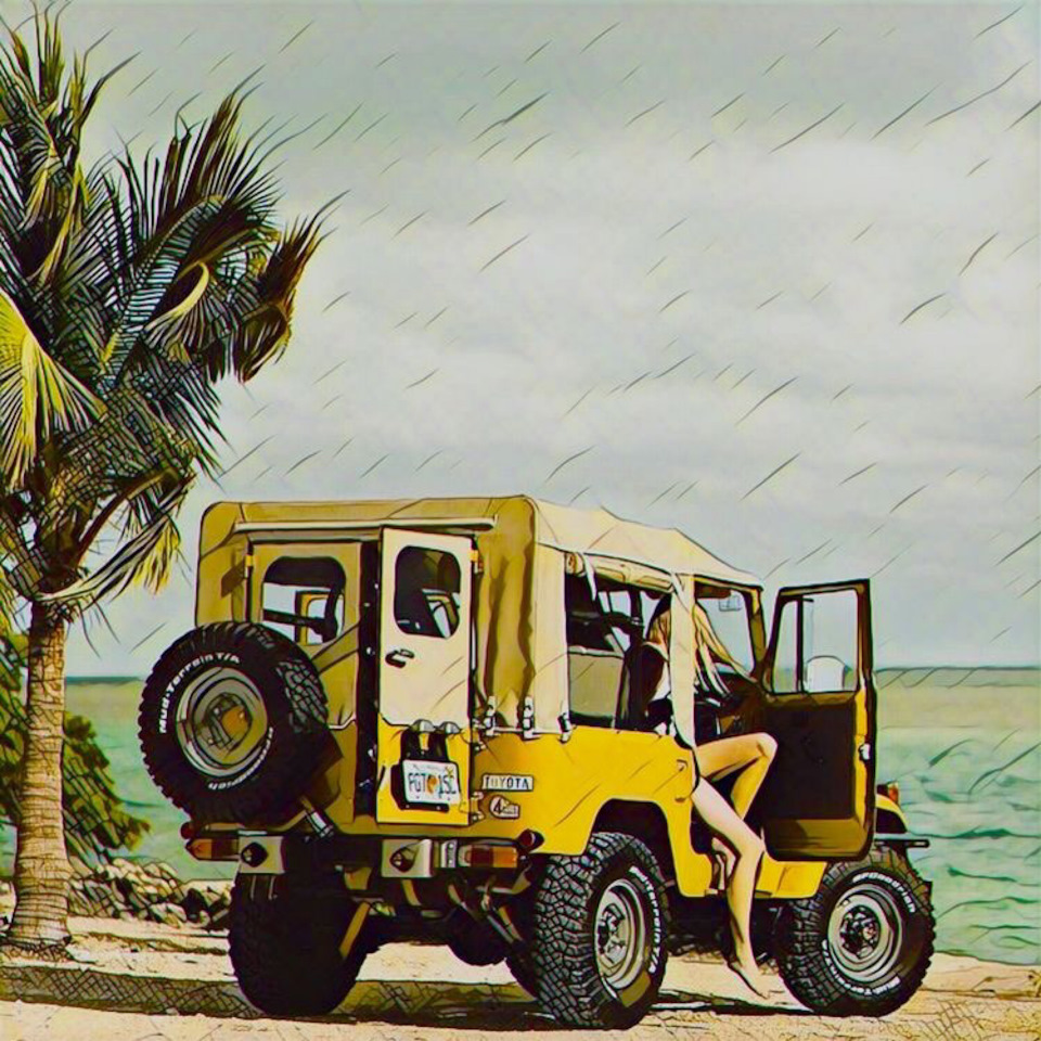 Фото фаната и Призма — Toyota Land Cruiser 40