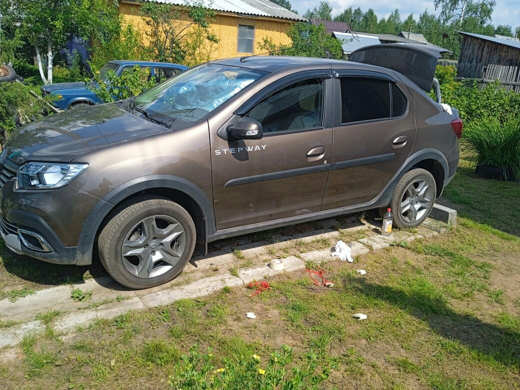 Молдинги Рено Логан 1. Молдинг Renault Trafic.