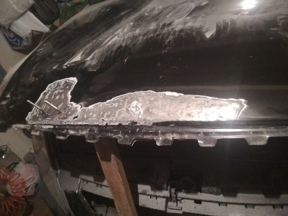 Ручная синичка. — Сообщество «Фотография» на DRIVE2