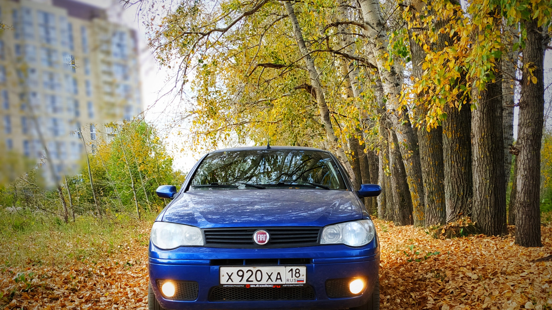 Fiat albea. Фиат Альбеа 1.4. Фиат Альбеа синий Персей. Заиндевевшая Fiat Albea. Фиат Альбеа 1.4 брошенная.