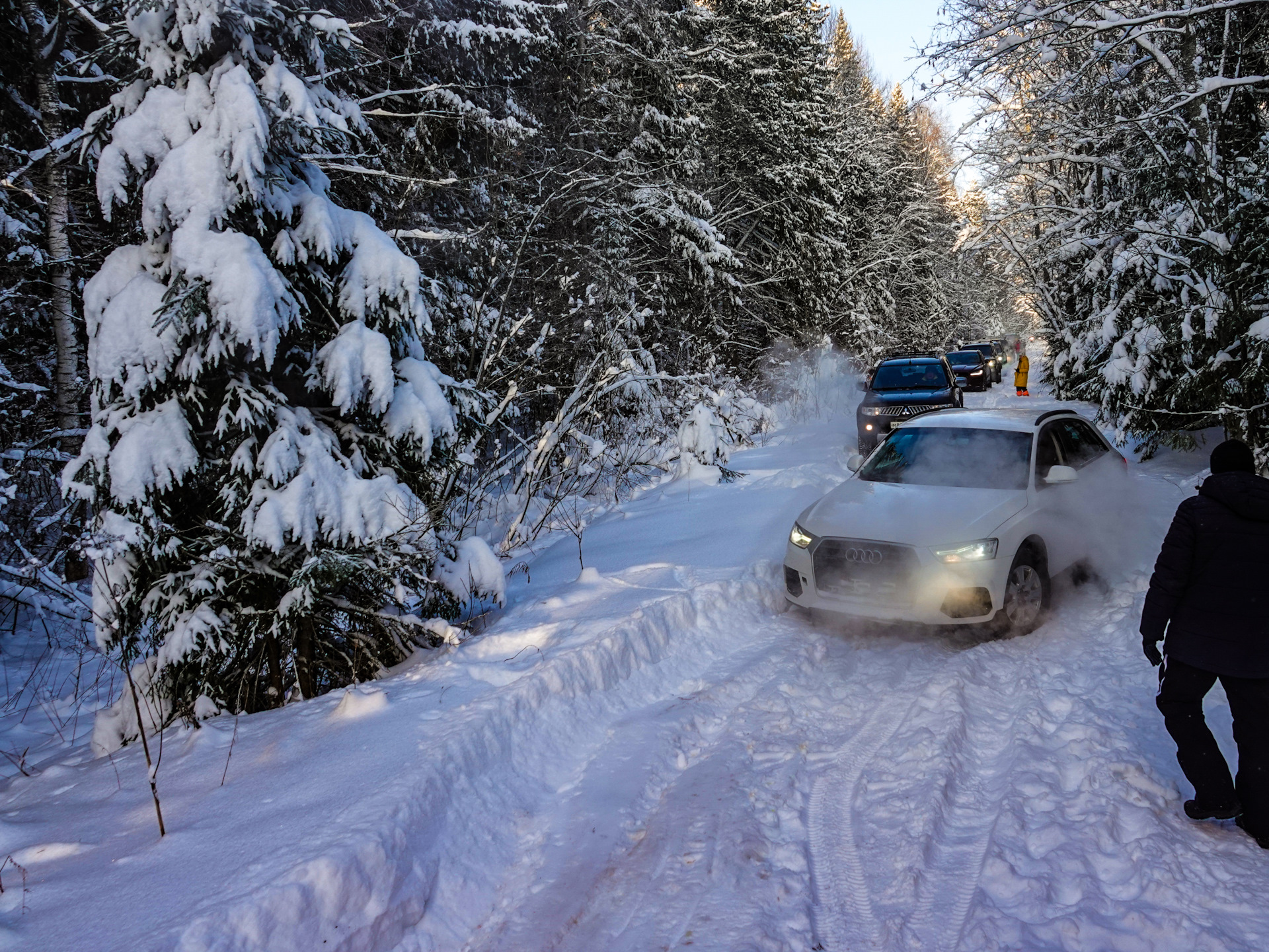 Студёные покатушки. Спасработы в лесу, лоси и памятные посетители. — Nissan  X-Trail III (t32), 1,6 л, 2019 года | путешествие | DRIVE2