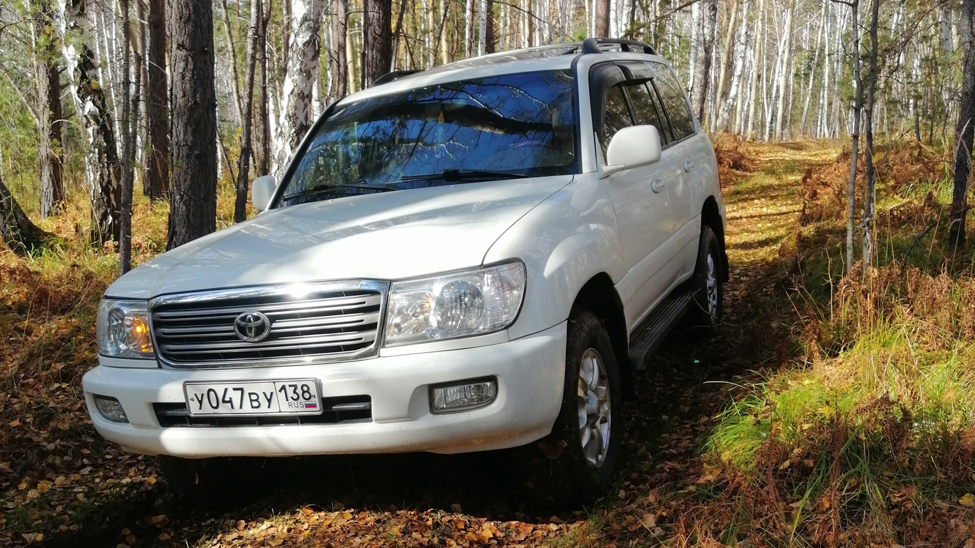 Toyota Land Cruiser 100 4.7 бензиновый 2000 | 