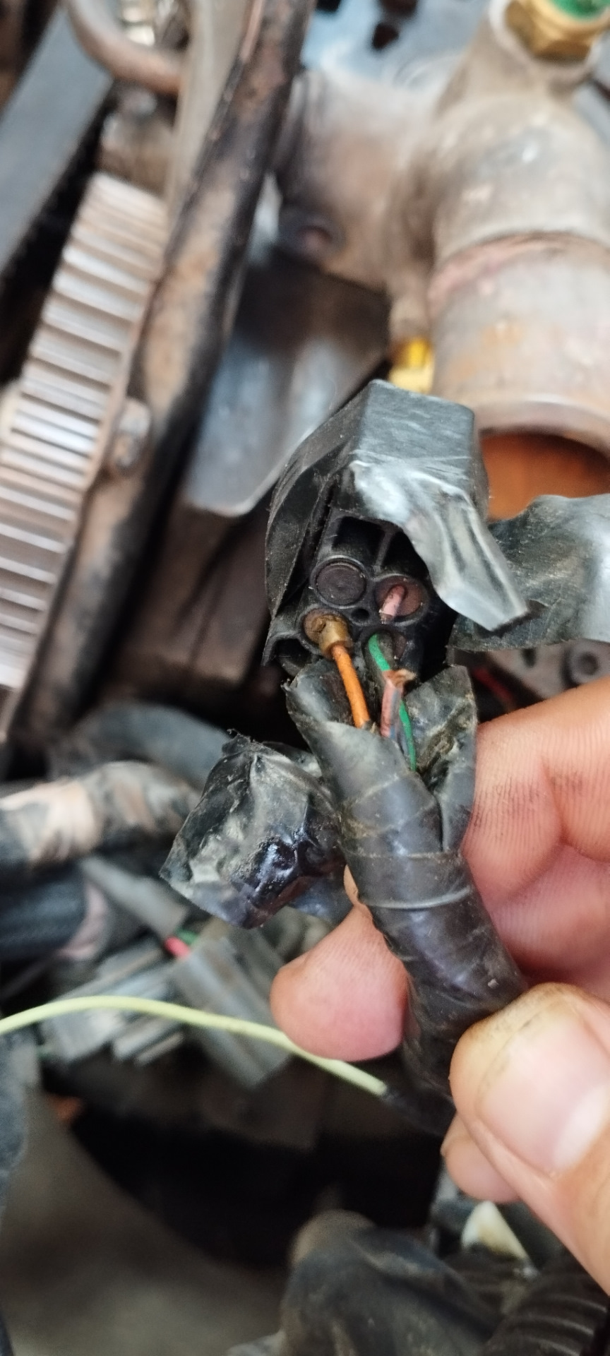 тнвд vp44 psg16. разъем тнвд octavia 2. Bosch vp37. тнвд ауди 1, 9. разъём байонет 7-pin камаз.