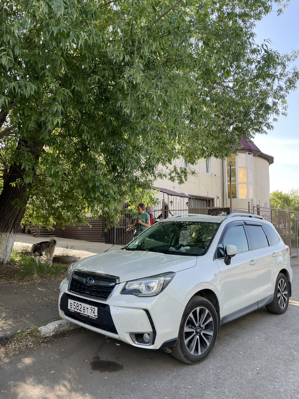 Новосибирск-Москва-Севастополь — Subaru Forester (SJ), 2 л, 2017 года |  путешествие | DRIVE2