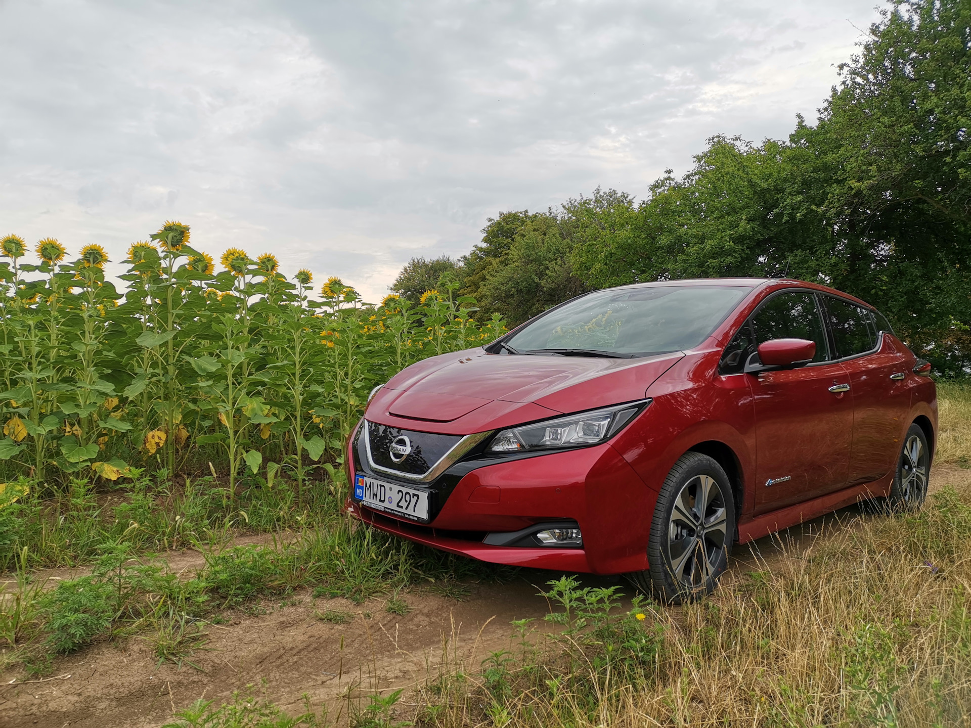 Nissan Leaf ze1. Диски на Nissan Leaf ze1. Nissan Leaf ze1 back. Ze1.