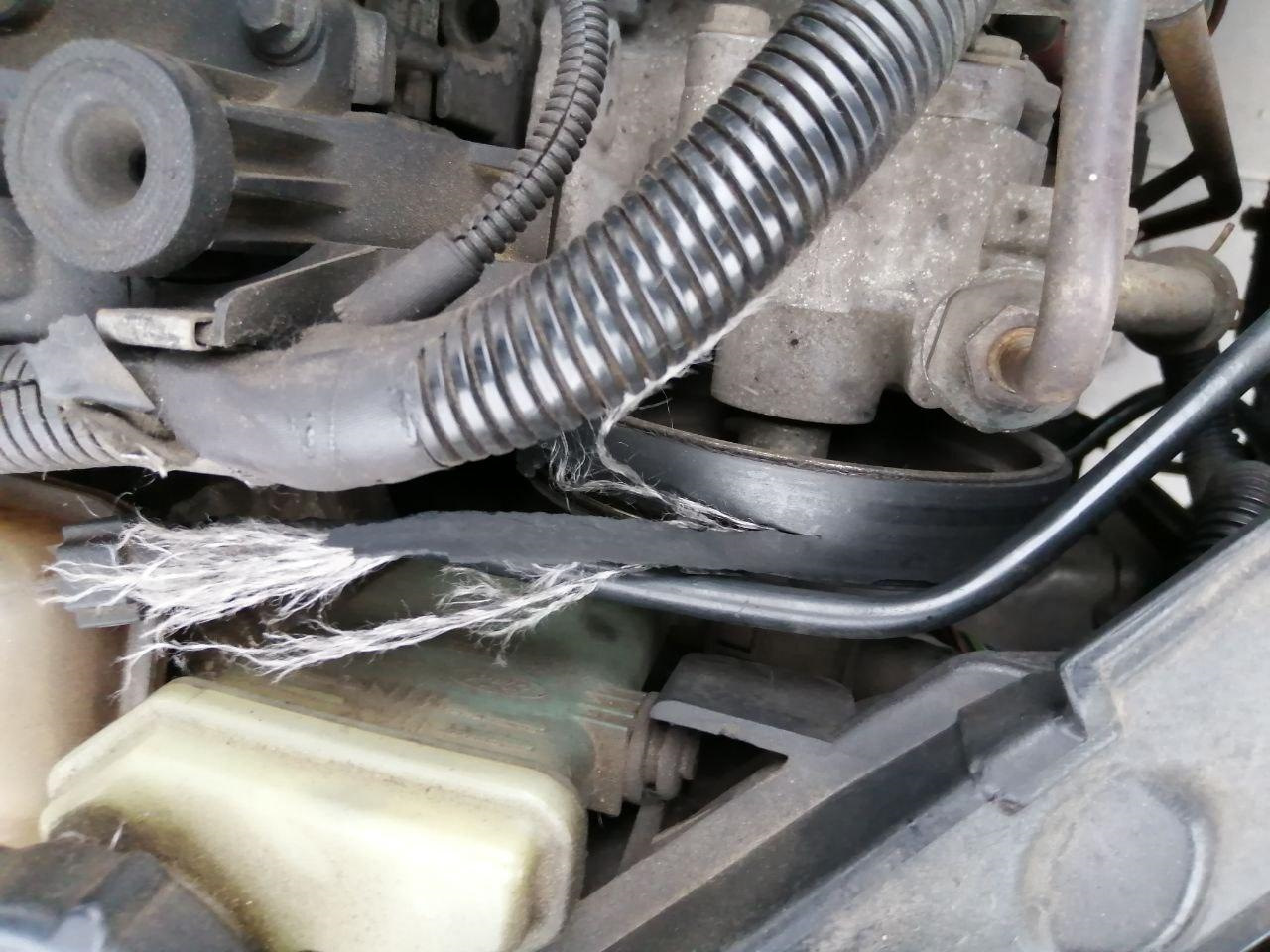 Лопнул ремень, какой фирмы брать новый? — Ford Fiesta (Mk V), 1,4 л ...