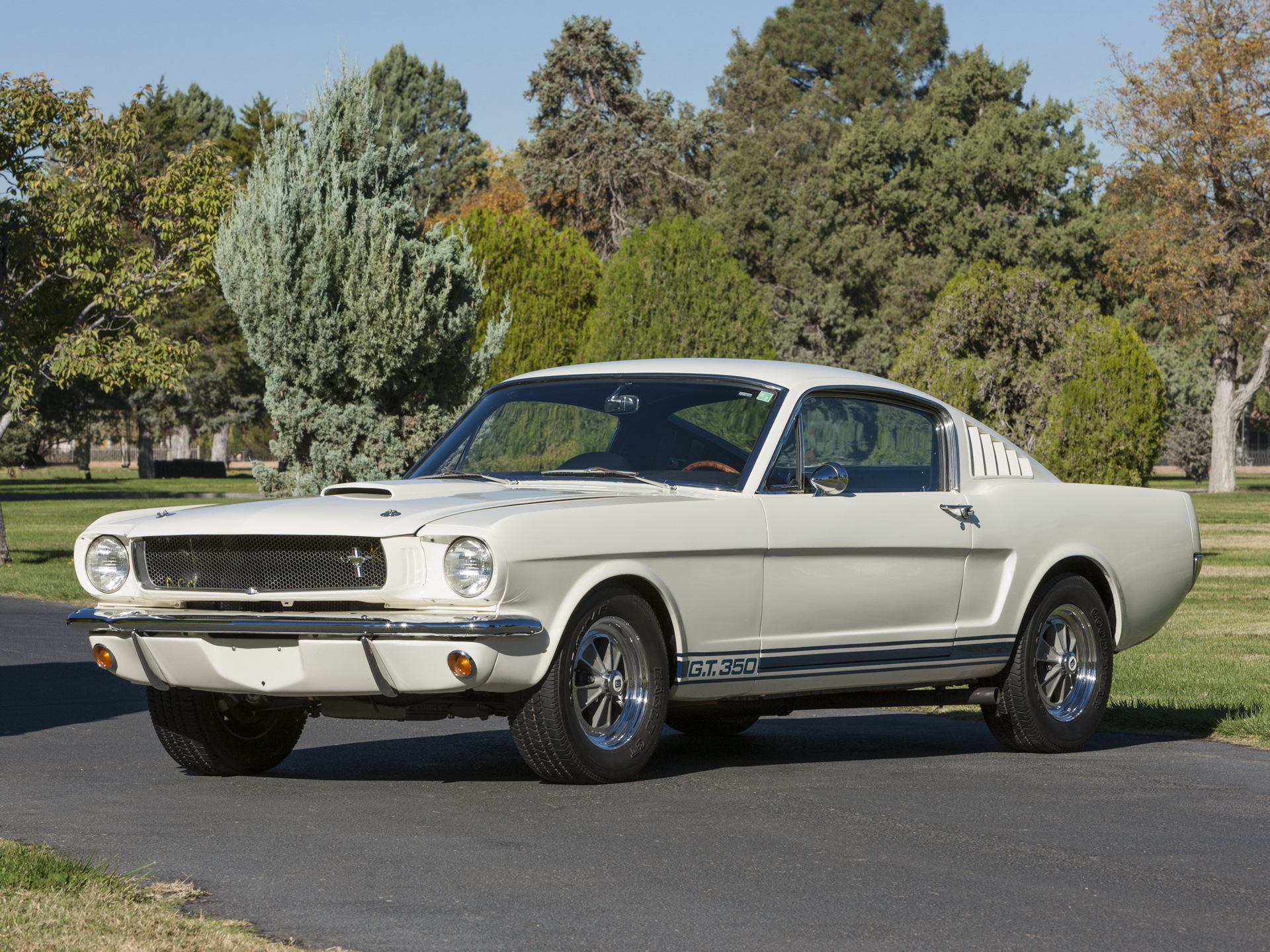 Mustang gt 350 Shelby old