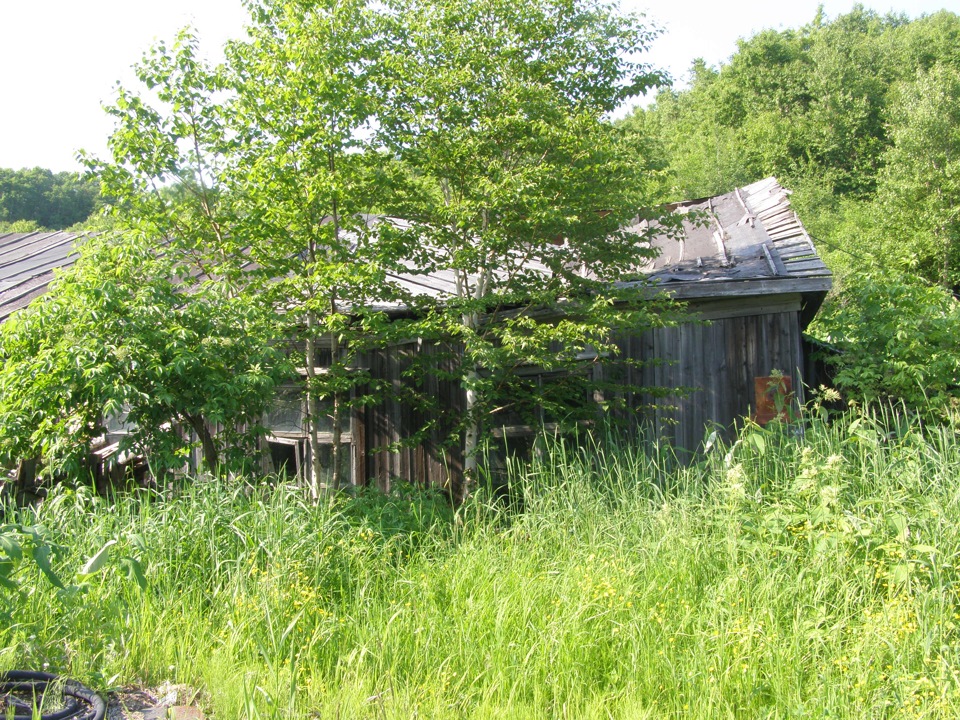 Поездка за воспоминаниями. — Honda CR-V (RD1, RD2), 2 л, 1996 года ...