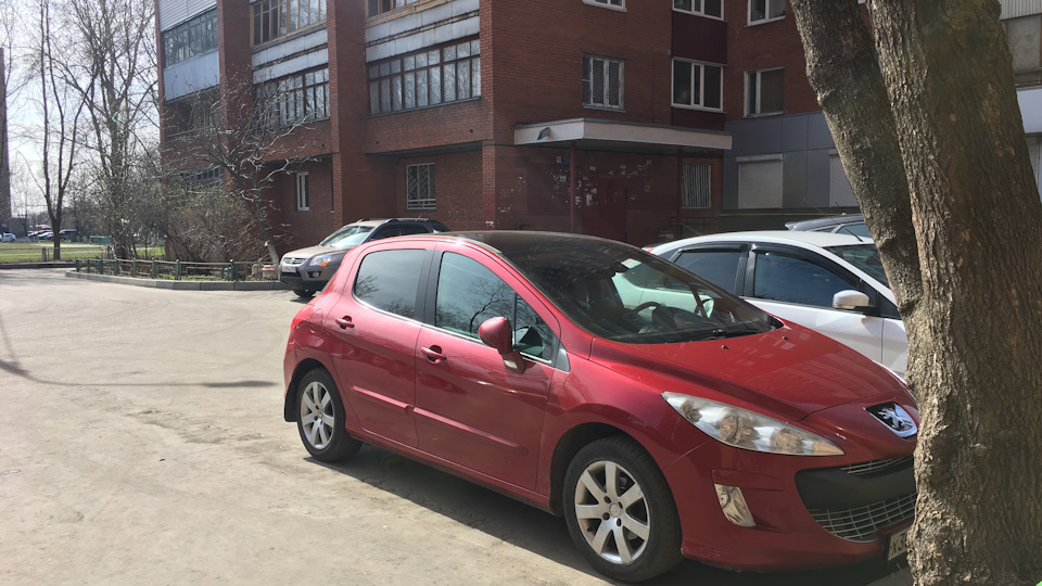 горит датчик нет давления масла — Peugeot 308 (1G), 1,6 л, 2009 года ...