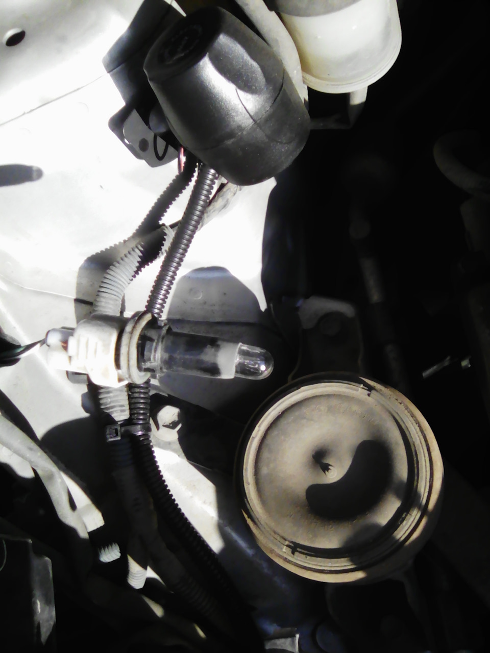 Замена лампы габаритных огней — Toyota Ractis (1G), 1,3 л, 2008 года ...