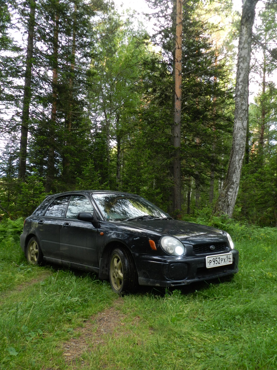 Поездка на Алтай в июне. Часть первая: Турочак. — Subaru Impreza (GD, GG),  1,5 л, 2001 года | путешествие | DRIVE2