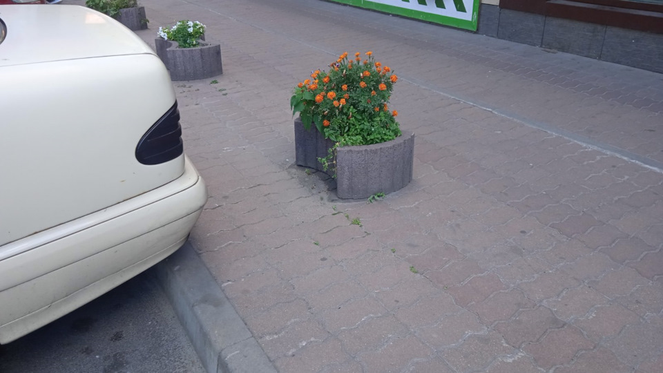 Фото в бортжурнале Mercedes-Benz E-Class (W210)