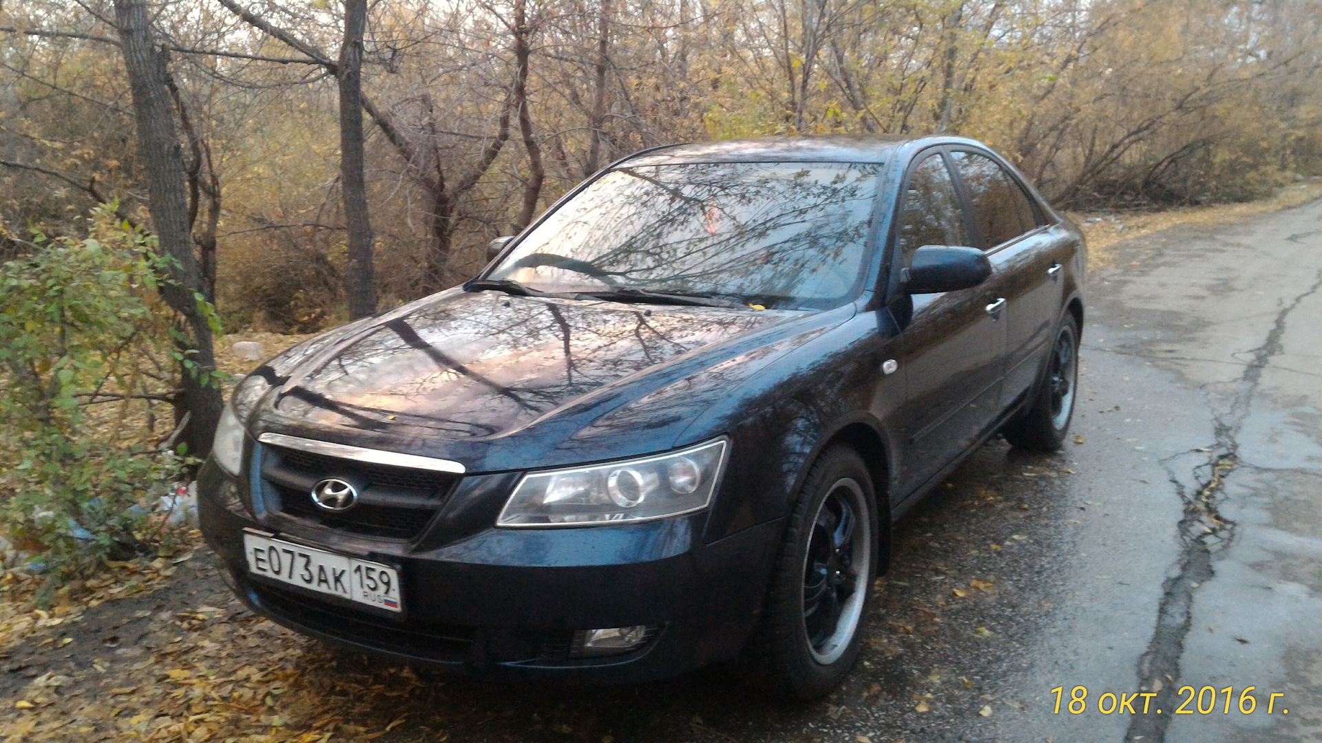 Hyundai Sonata V (NF) 2.4 бензиновый 2005 | 2.4AT GLS на DRIVE2