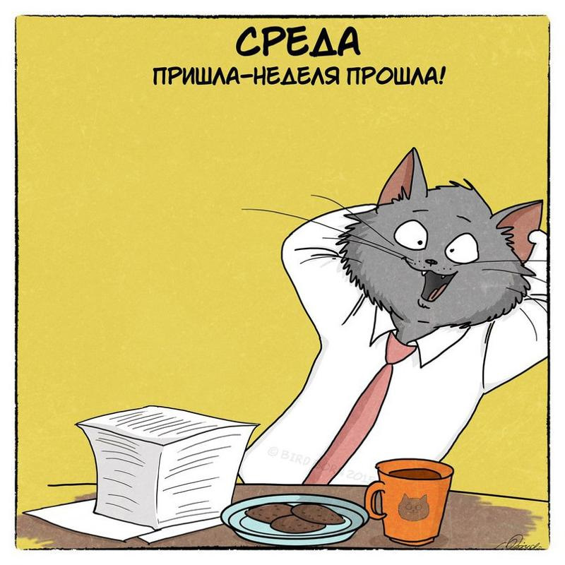 Открытка на неделю прикольные, день внутренних
