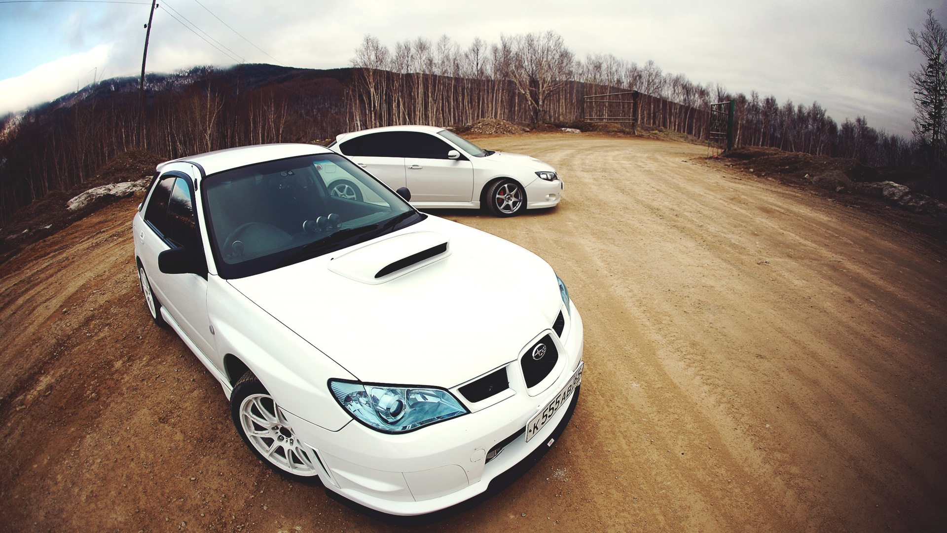 Subaru Impreza WRX (GD, GG) 2.0 бензиновый 2004 | [белая лиса] на DRIVE2