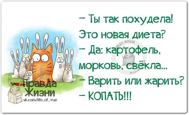 Днем рождения, смешные картинки правда жизни с надписями