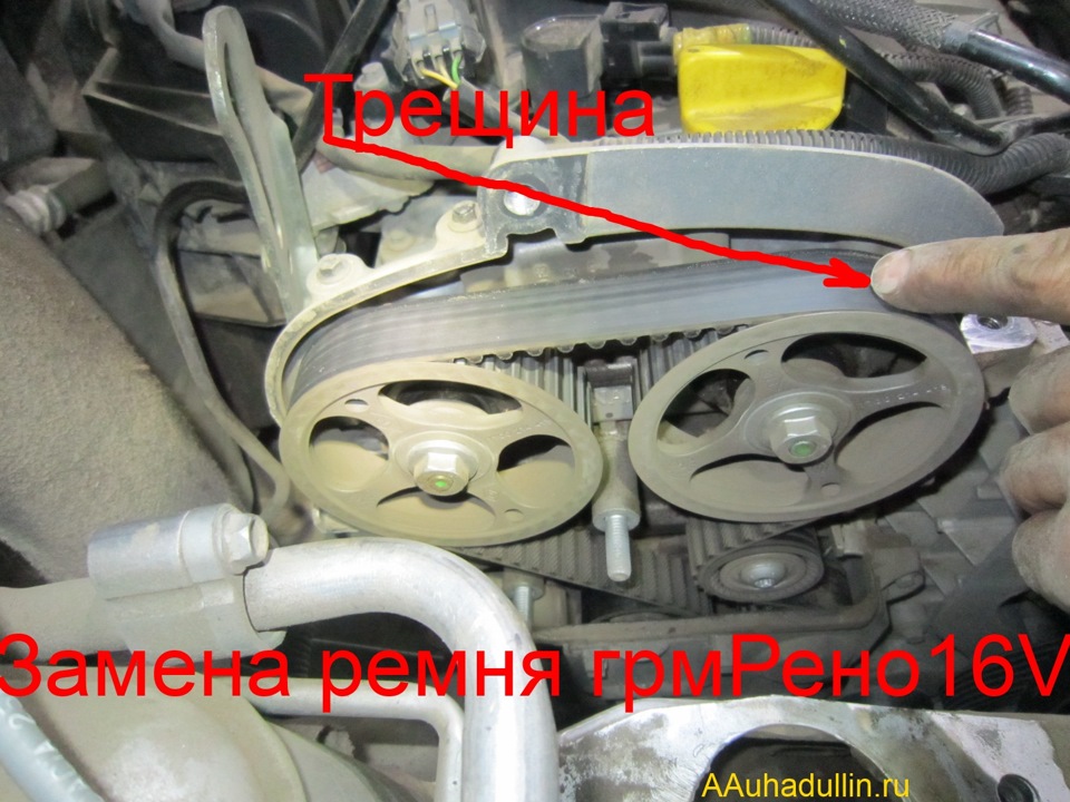 Замена ремня ГРМ Рено в Киеве, ремонт двигателя Renault Trafic Logan Kangoo