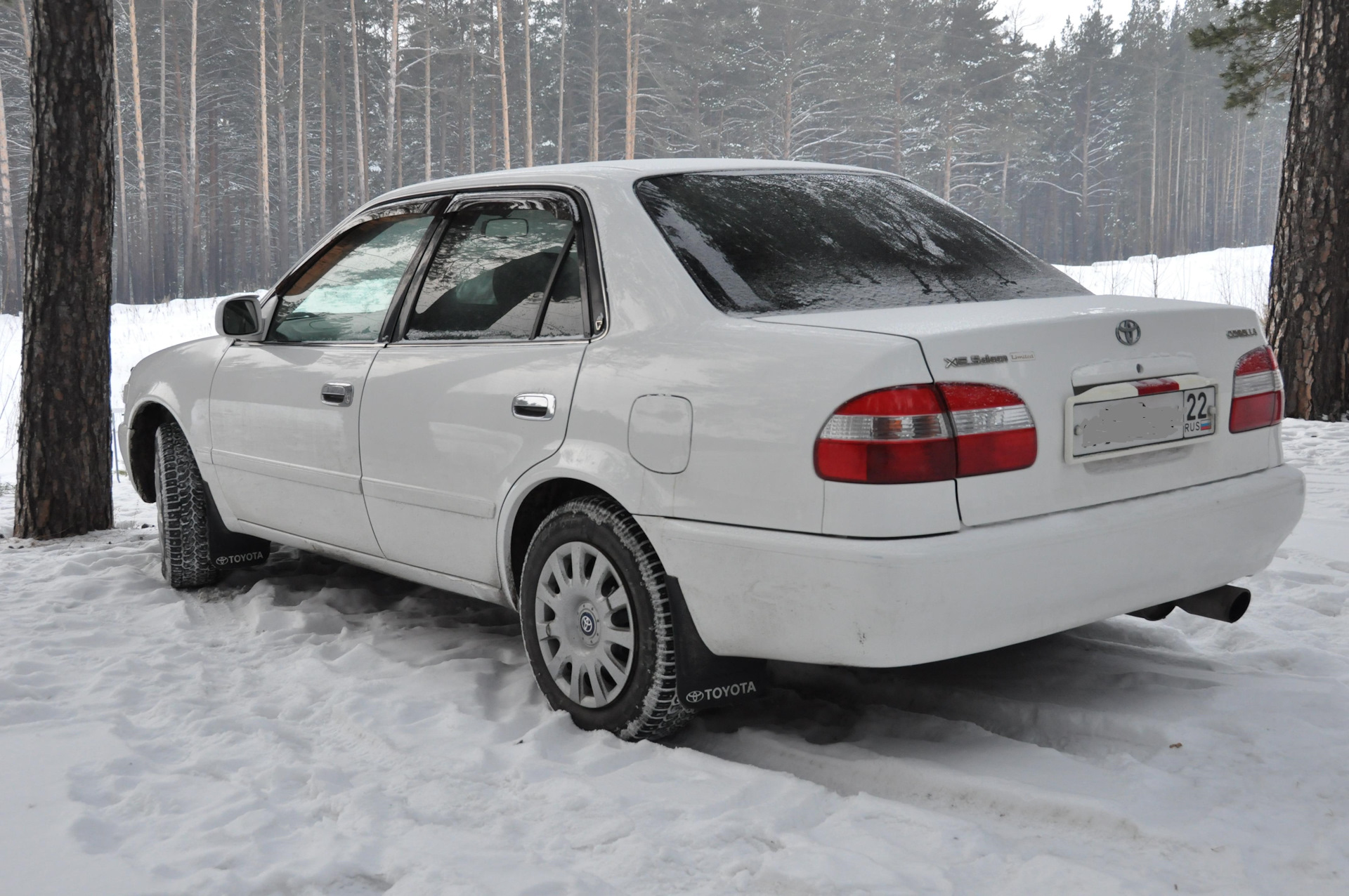 Какое масло залить на зиму? — Toyota Corolla (110), 1,3 л, 1999 года |  другое | DRIVE2