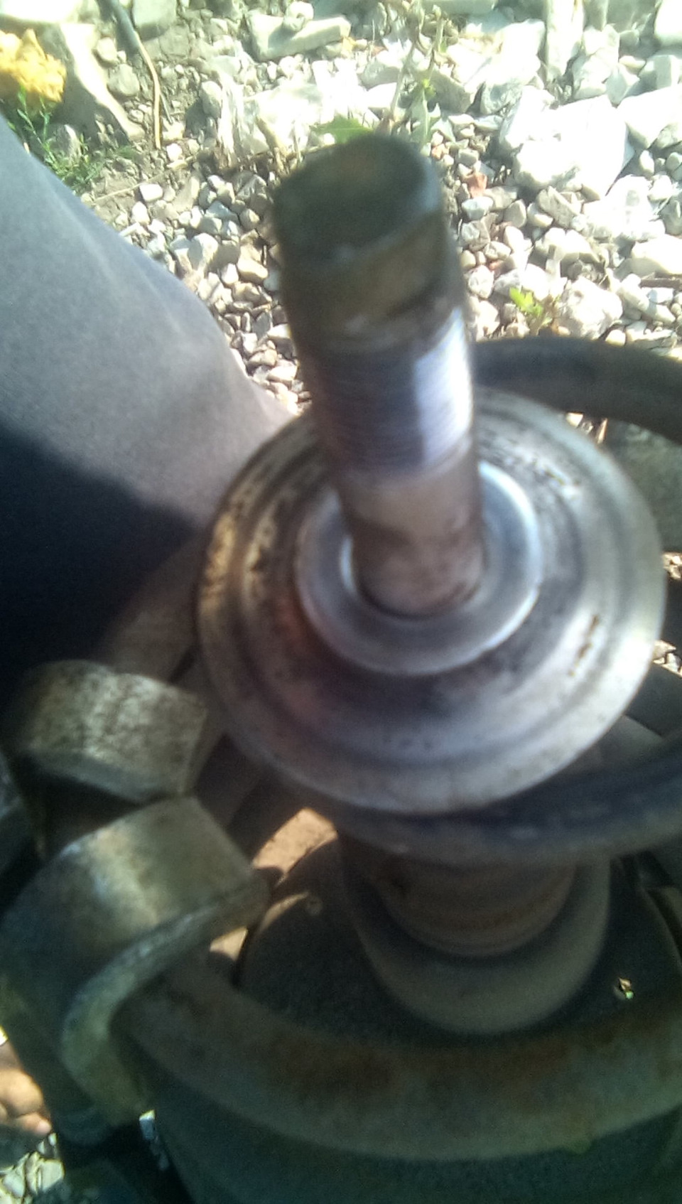 не долговечный анвис — DRIVE2