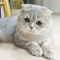какие свечи зажигания на рено каптур. Смотреть фото какие свечи зажигания на рено каптур. Смотреть картинку какие свечи зажигания на рено каптур. Картинка про какие свечи зажигания на рено каптур. Фото какие свечи зажигания на рено каптур