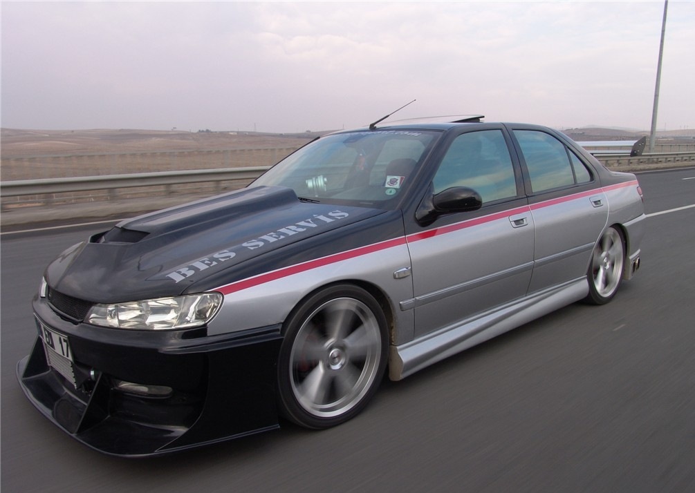 peugeot 406 stance