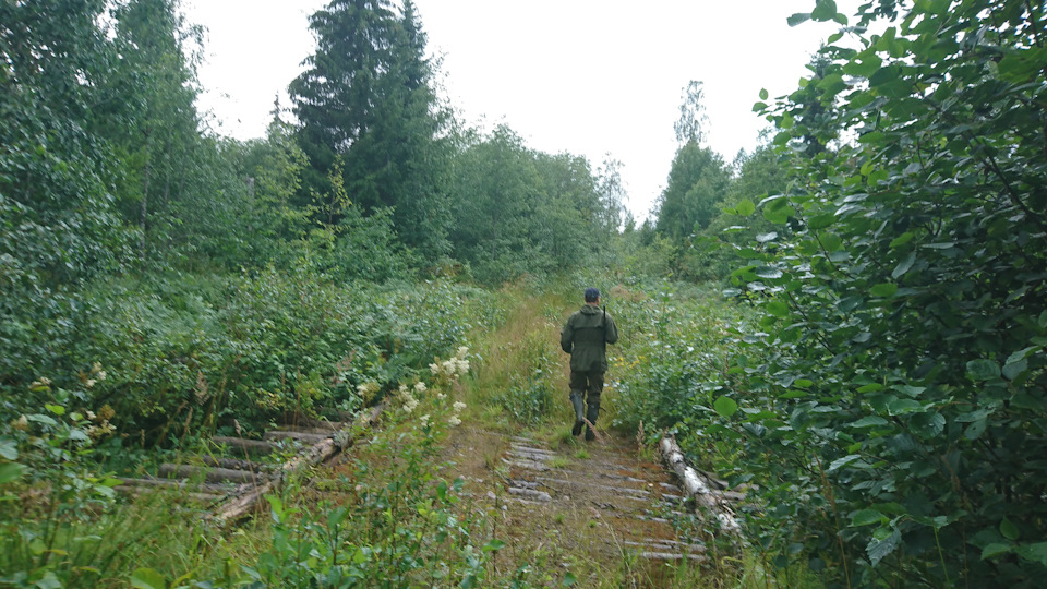 Фото в бортжурнале Mitsubishi Pajero (4G)