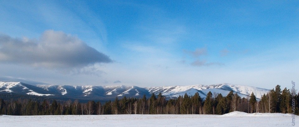 Хребет крака фото