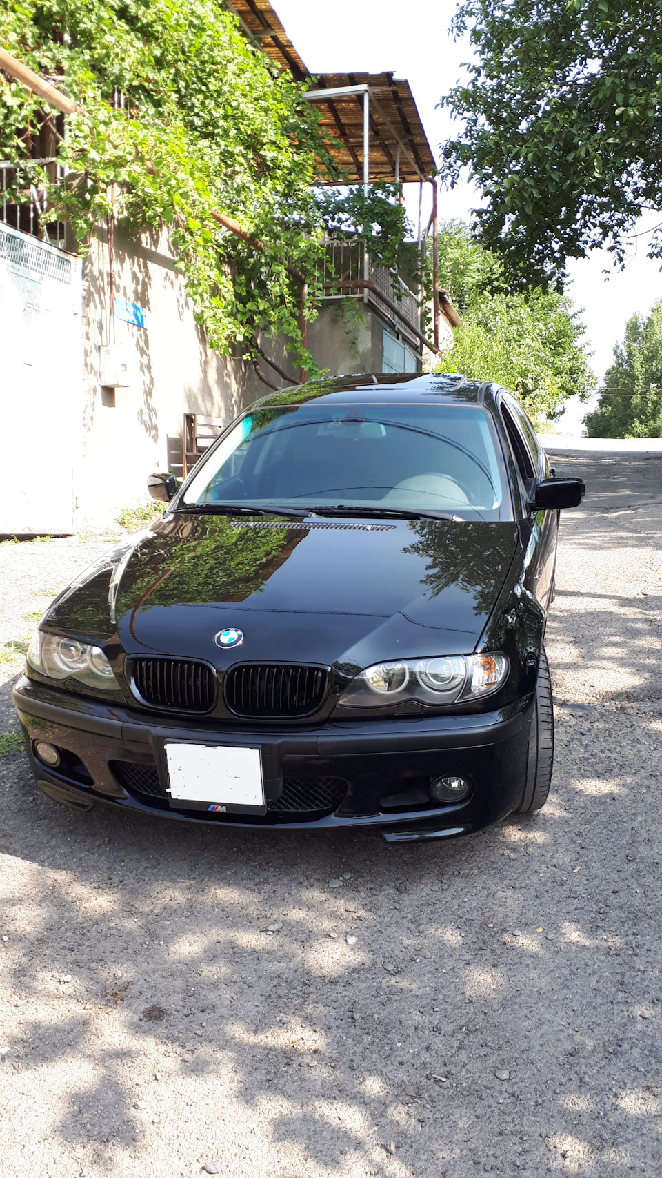 Полировка после покраски — BMW 3 series (E46), 2,5 л, 2003 года | кузовной  ремонт | DRIVE2