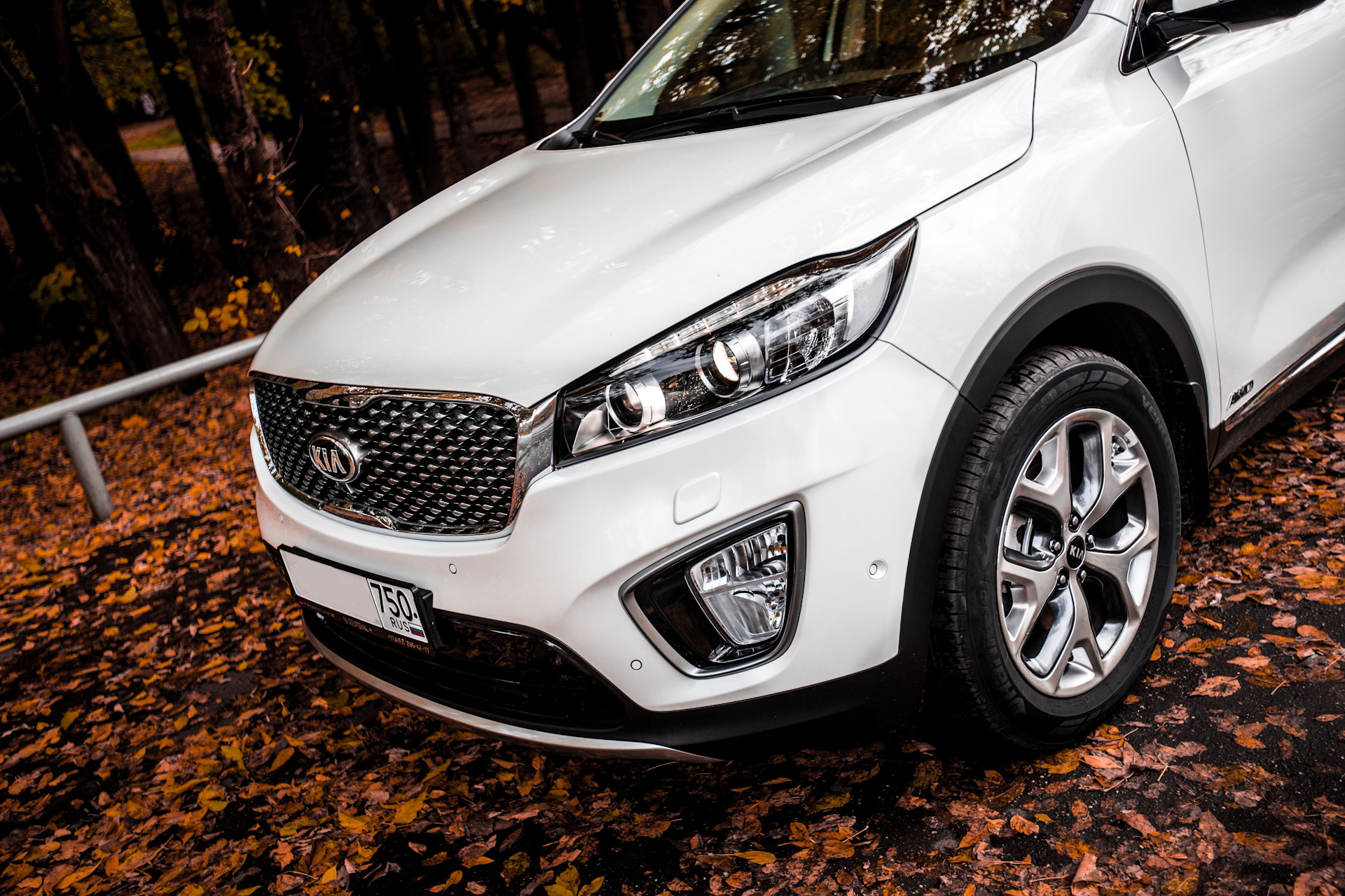 Sorento prime установка. Kia Sorento Prime белый. Sorento Prime Premium. Kia Prime gt.