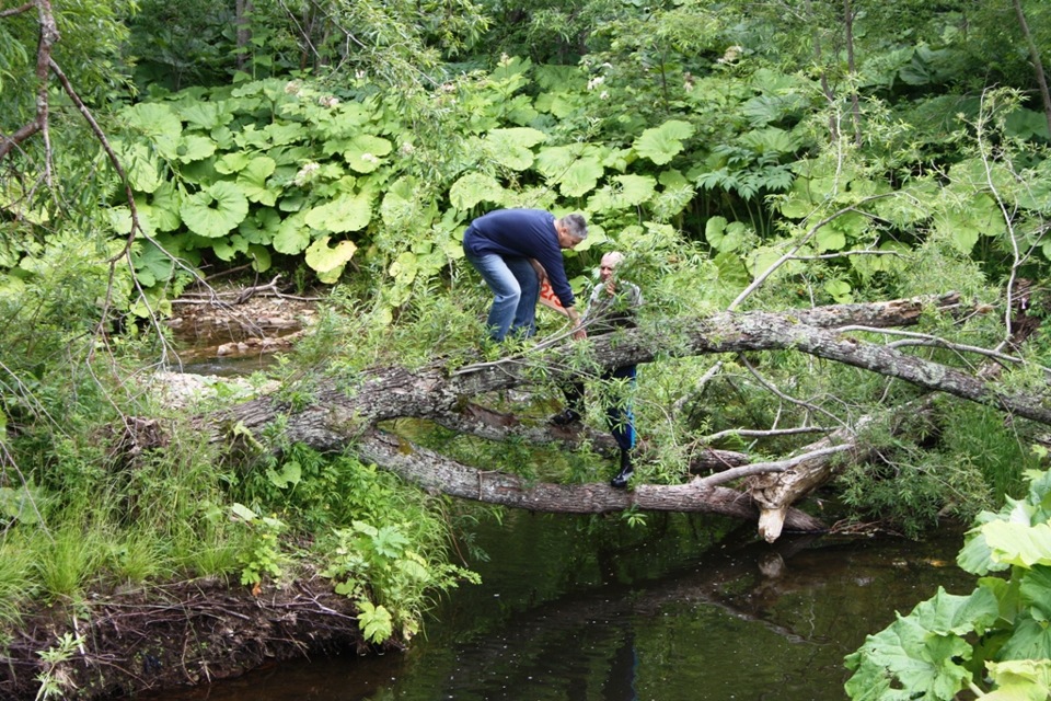 как ее брать сам не знаю — Nissan Safari (Y60)