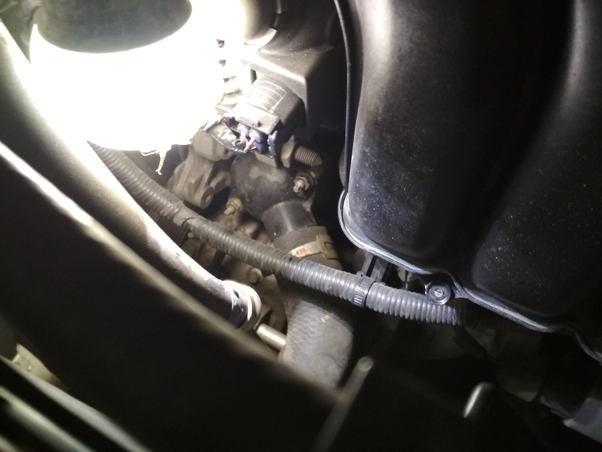 Двигатель 2zr fae расположение термостата замена термостата 2zr-fe - Toyota Corolla Axio (E140), 1,8 л, 2006 года своими р