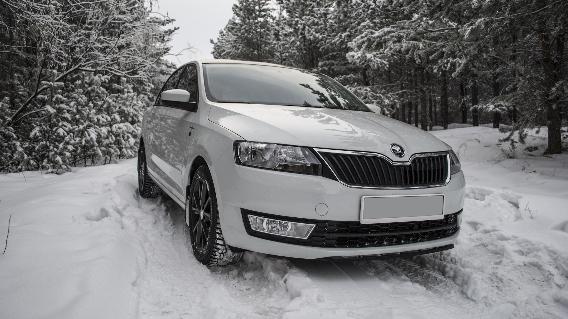 Skoda Rapid белая