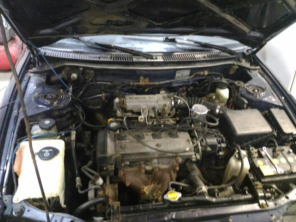 Фото в бортжурнале Toyota Corolla FX