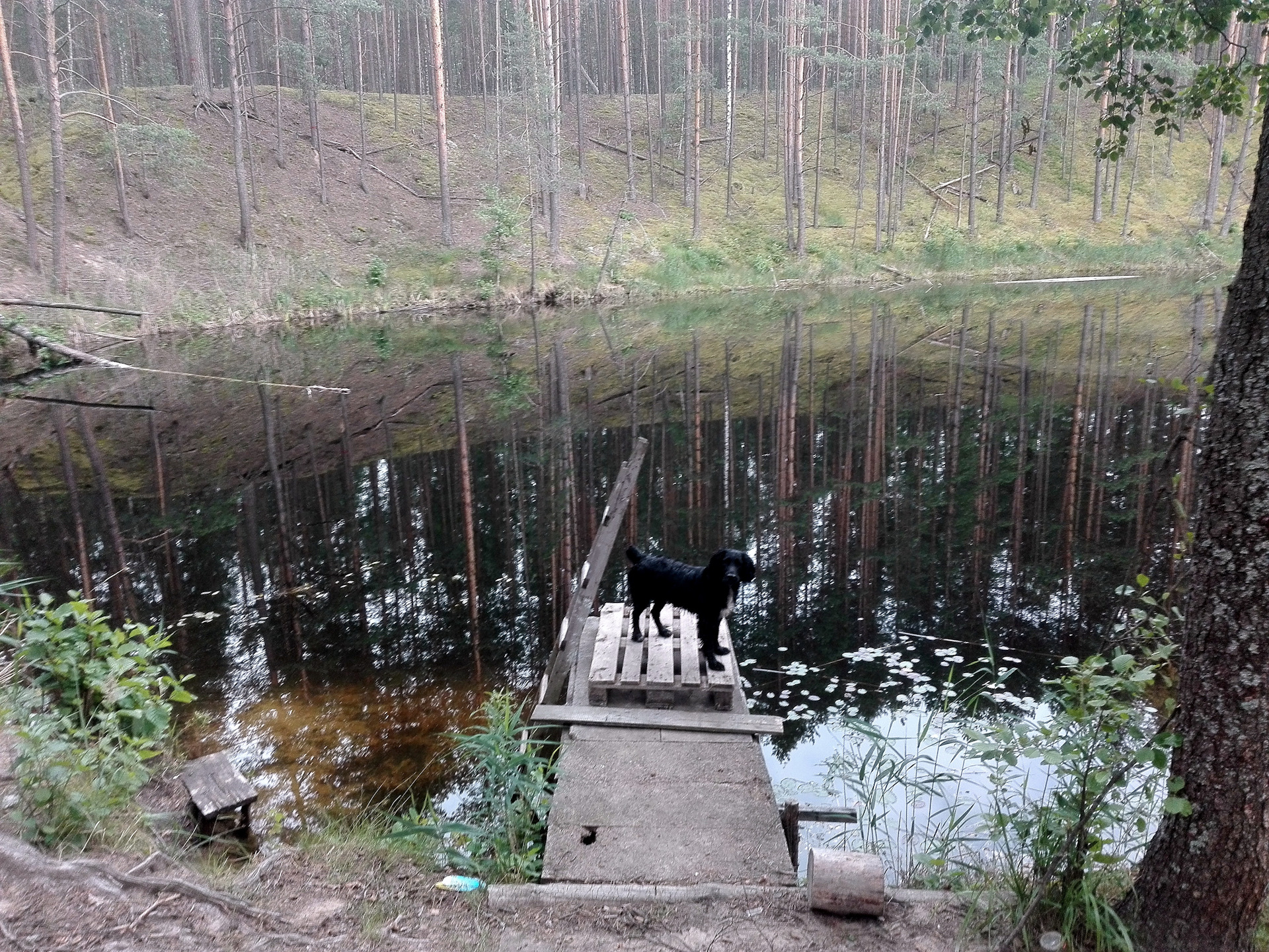 Рыбалка на озере Еловое