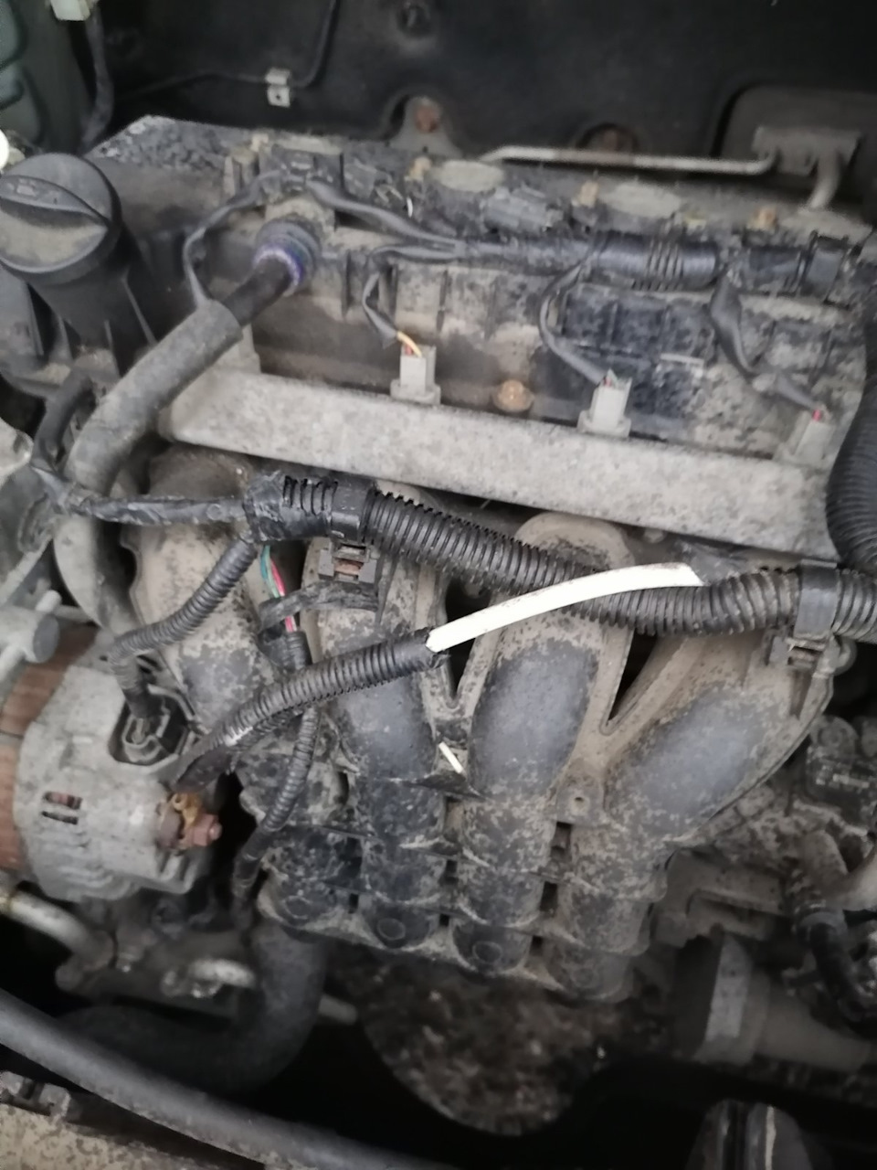 Плюсовой провод генератора. — Mitsubishi Colt VI, 1,3 л, 2008 года ...