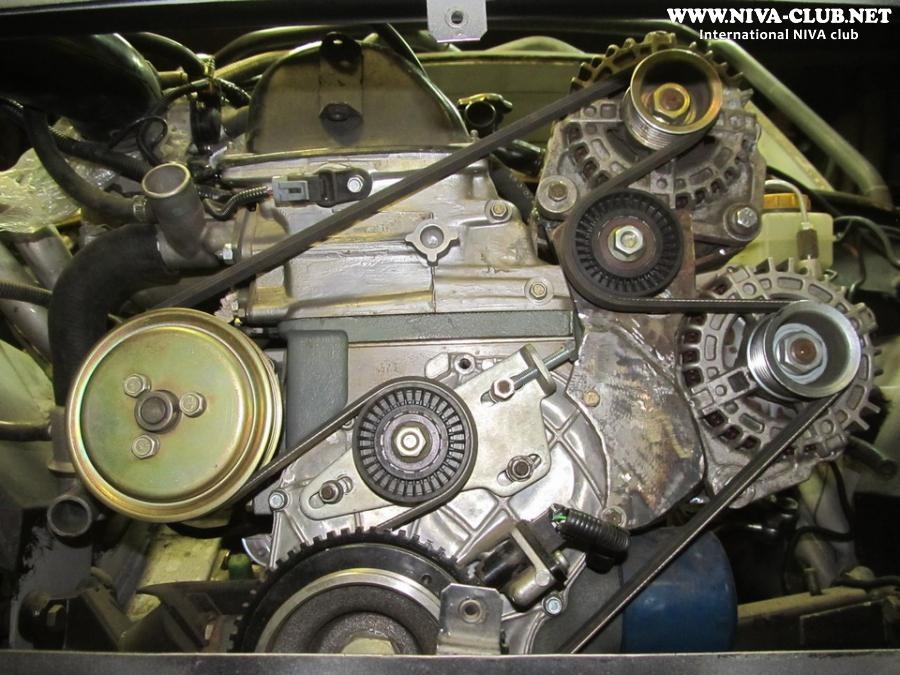 #97. Для чего Шуба у Шнивы?