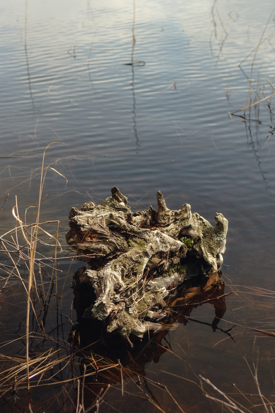 озеро чуркан какая рыба водится. e2bef16s 960. озеро чуркан какая рыба водится фото. озеро чуркан какая рыба водится-e2bef16s 960. картинка озеро чуркан какая рыба водится. картинка e2bef16s 960. озеро Большой Чуркан