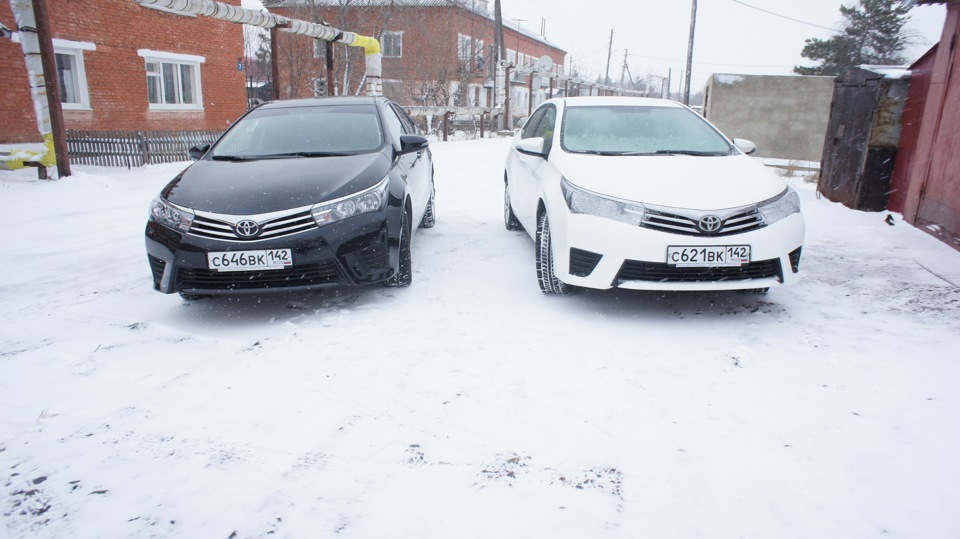 Black — White — Toyota Corolla (160), 1,6 л, 2013 года | фотография ...