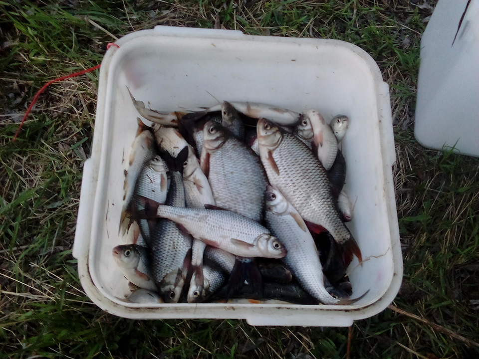 Поездка на рыбалку в Астрахань. Часть 2-я. — KIA Rio (3G), 1,6 л, 2012 ...