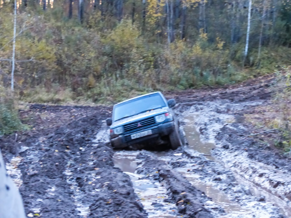 Таловские чаши-2014. Часть 2 — Toyota Land Cruiser 80, 4,2 л, 1997 года ...