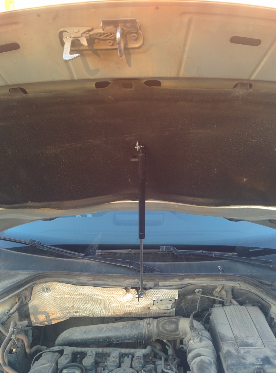 пневмоупор капота — Volkswagen Tiguan (1G), 2 л, 2013 года | аксессуары ...