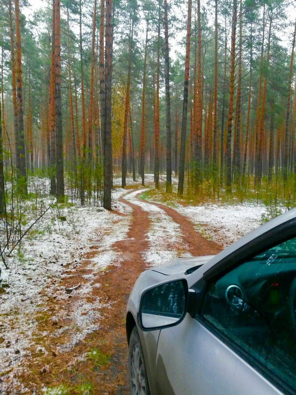 Фото в лесу на машине