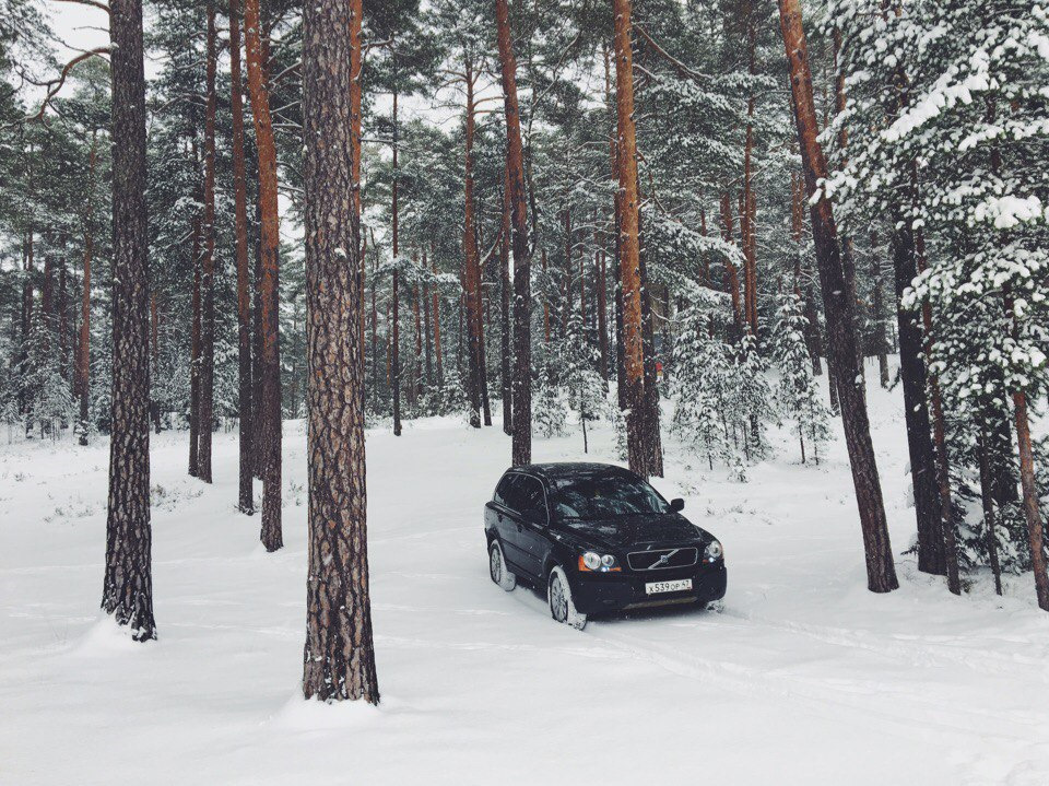 снег в краснодаре 2023. снежная 7. джип в лесу зима лесники. цветы под снегом фото красивые. снег в россии.