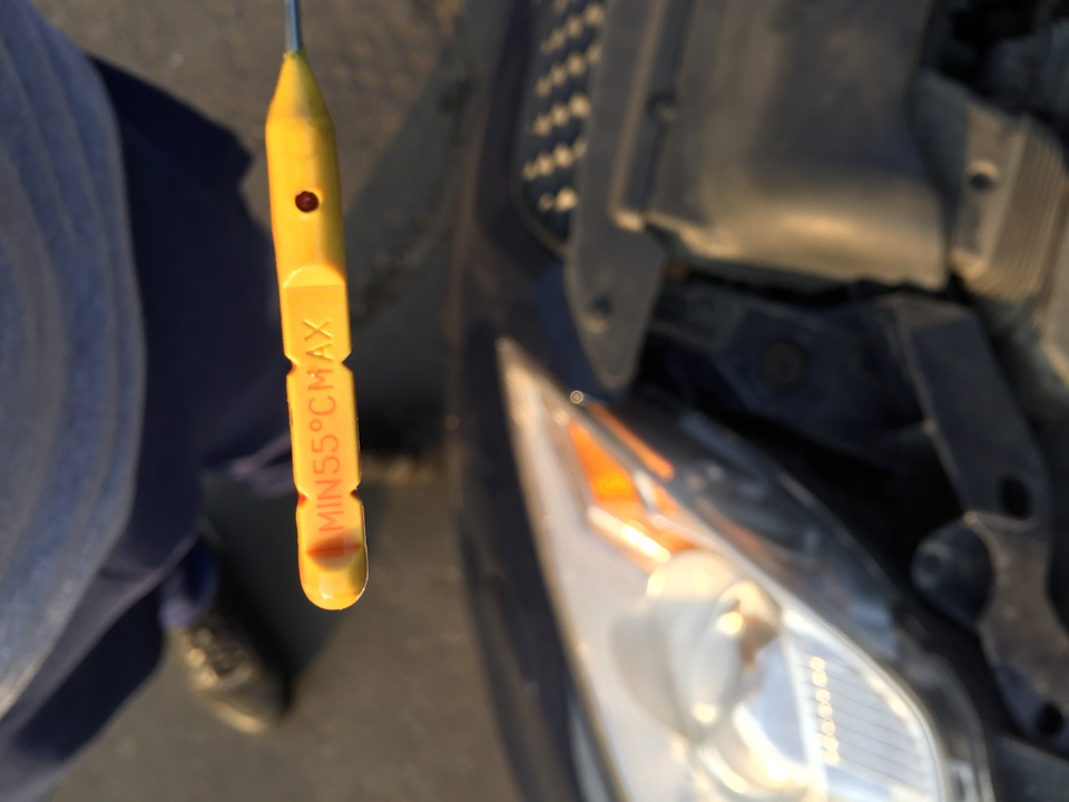 максимум — Ford Focus Hatchback II. Запчасти на фото: MIN55