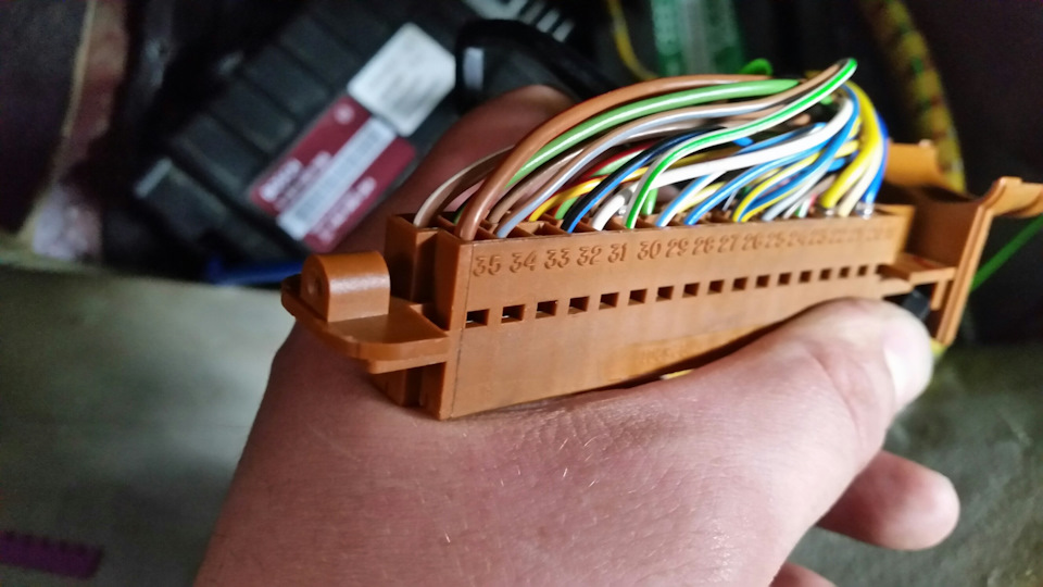 Колодка ЭБУ 32 нога сине-черная ? — Audi 100 (C4). Запчасти на фото: 1313029P