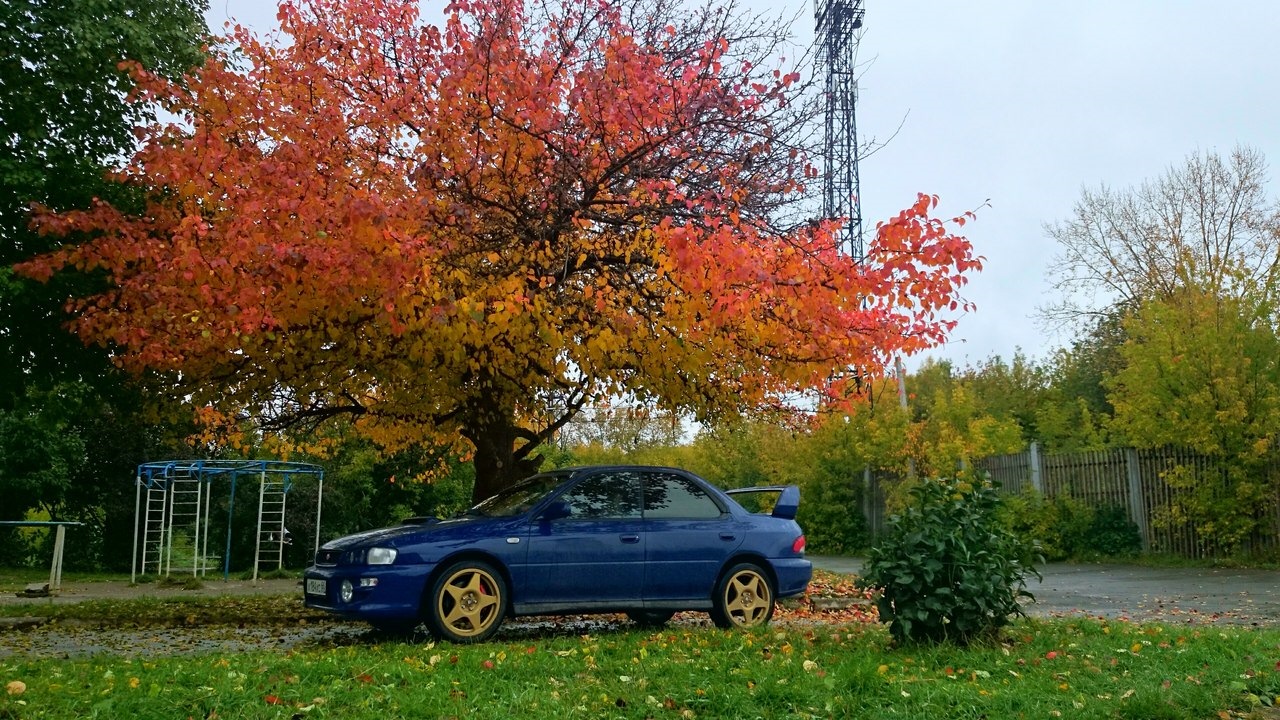 Subaru Impreza WRX (GC, GF) 2.0 бензиновый 2000 | 18 лет в одних руках. на  DRIVE2