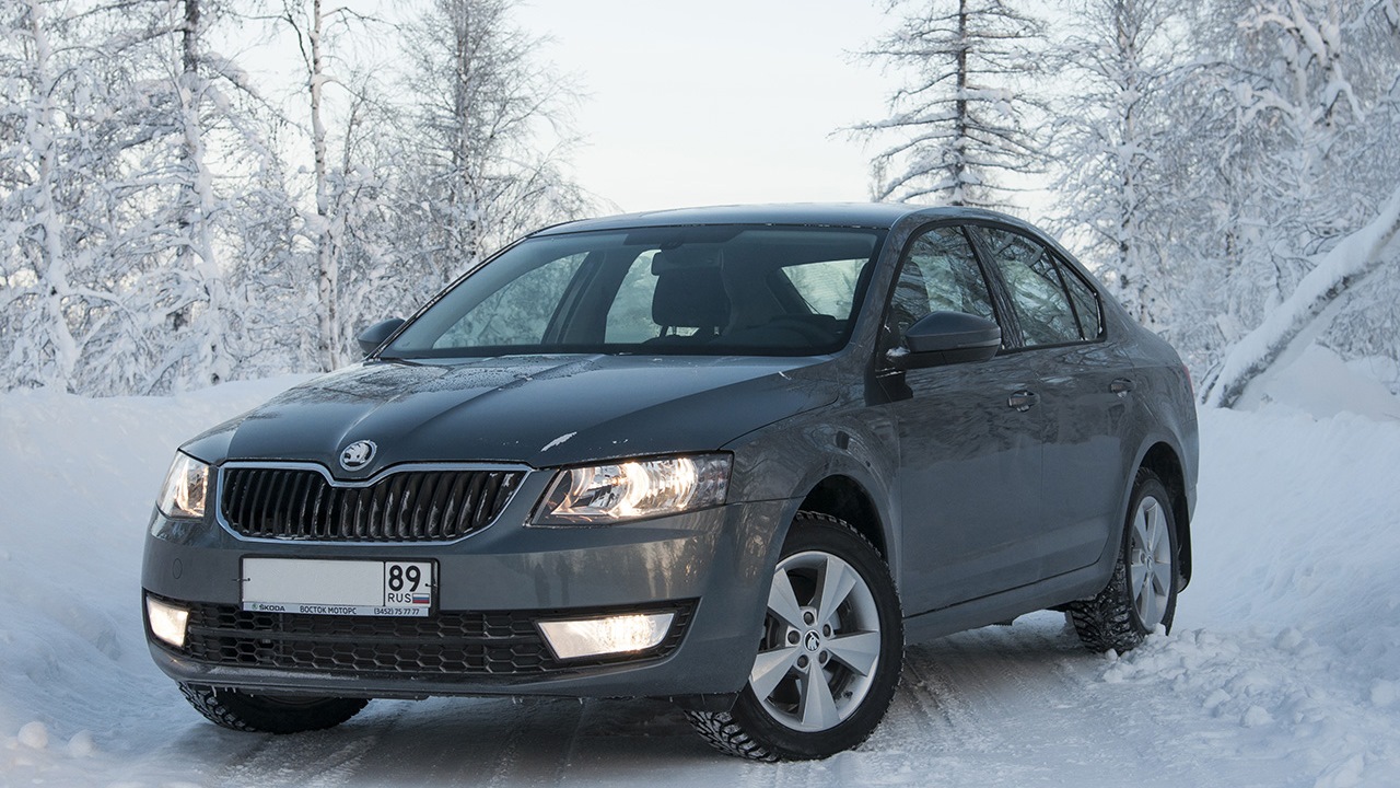 Skoda octavia серая