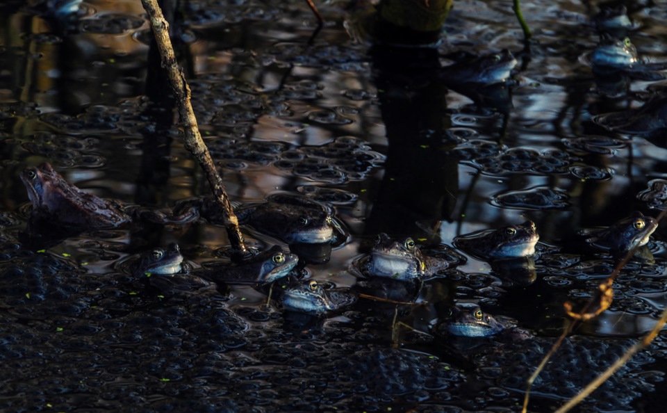 Фото в бортжурнале Jeep Cherokee (XJ)