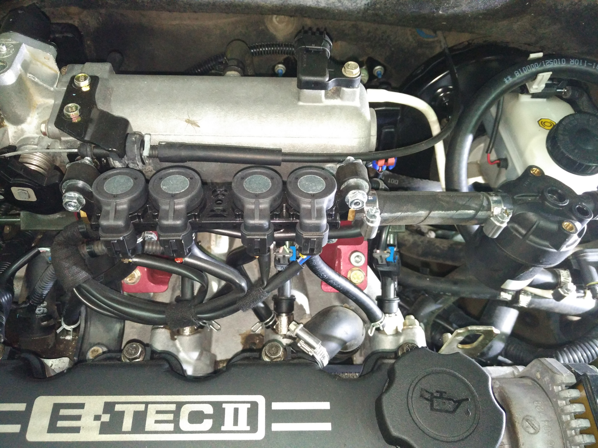 Установить лс. ГБО на Авео т250. ГБО 4 поколения Авео т200. Шевроле Авео ГБО. Шевроле Авео 16 клапанный ГБО.