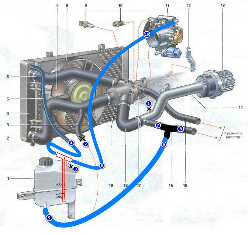 Почему греется калина. Система охлаждения двигателя ВАЗ 1118. Система охлаждения ДВС Калина 1.